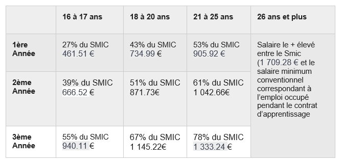 Grille de salaire de l'apprenti en 2023 / 2024