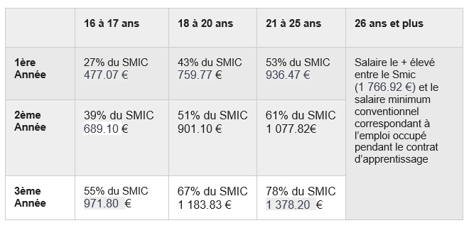 Grille de salaire de l'apprenti en 2024