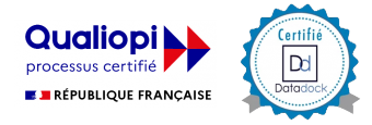 vicenta formation certifié data dock