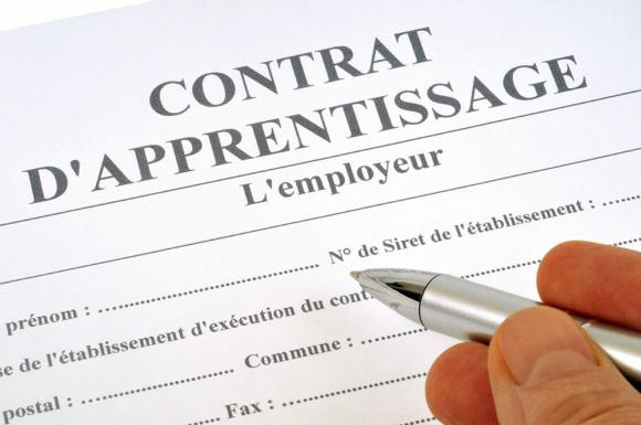 contrat apprentissage vicenta formation